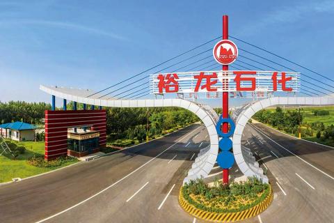 裕龍石化產業(yè)園招商引資導向}